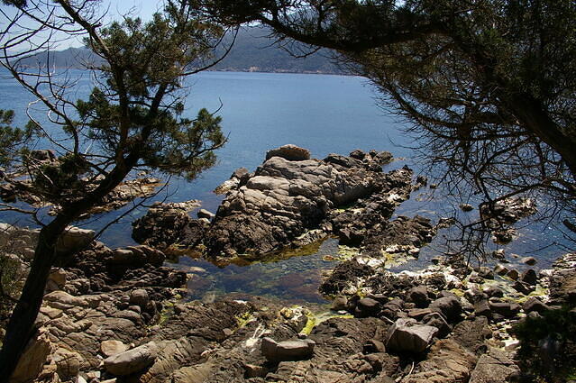 Diving in France, Corse Campomoro - By Franck