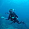 Picture taken during the dive