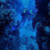 Picture taken during the dive