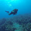 Picture taken during the dive