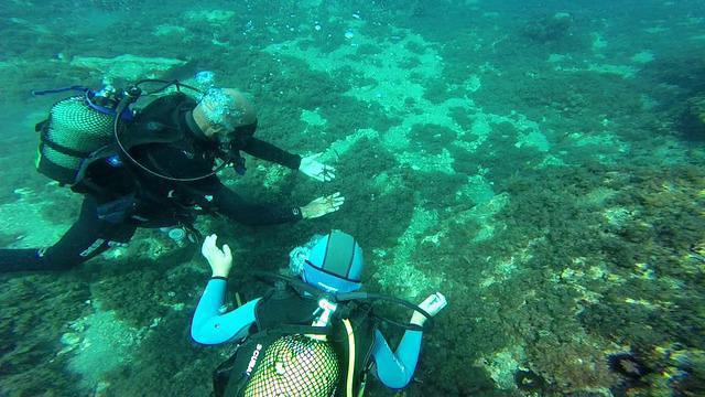 Abysub - Dive Center in Spain