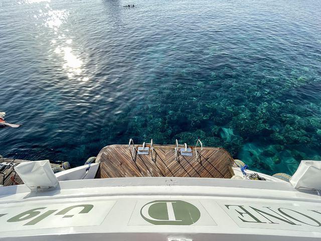 Sheikh Coast Diving Center - Dive Center in Egypt