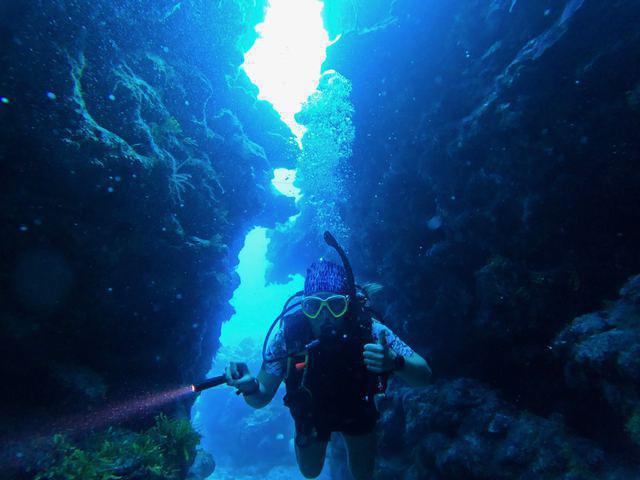 Red Sail Sports - Dive Center in 开曼群岛