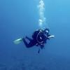 Picture taken during the dive