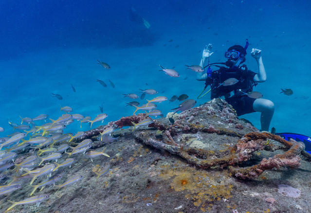 Diving in Grenada, Grenada Island - By Stecam