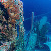 Picture taken during the dive