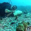 Picture taken during the dive