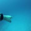 Picture taken during the dive