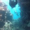 Picture taken during the dive