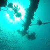 Picture taken during the dive