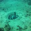 Picture taken during the dive
