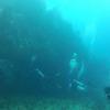 Picture taken during the dive