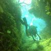 Picture taken during the dive