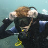Picture taken during the dive