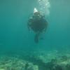 Picture taken during the dive