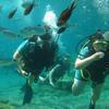 Picture taken during the dive