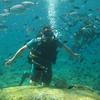 Picture taken during the dive