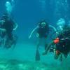 Picture taken during the dive